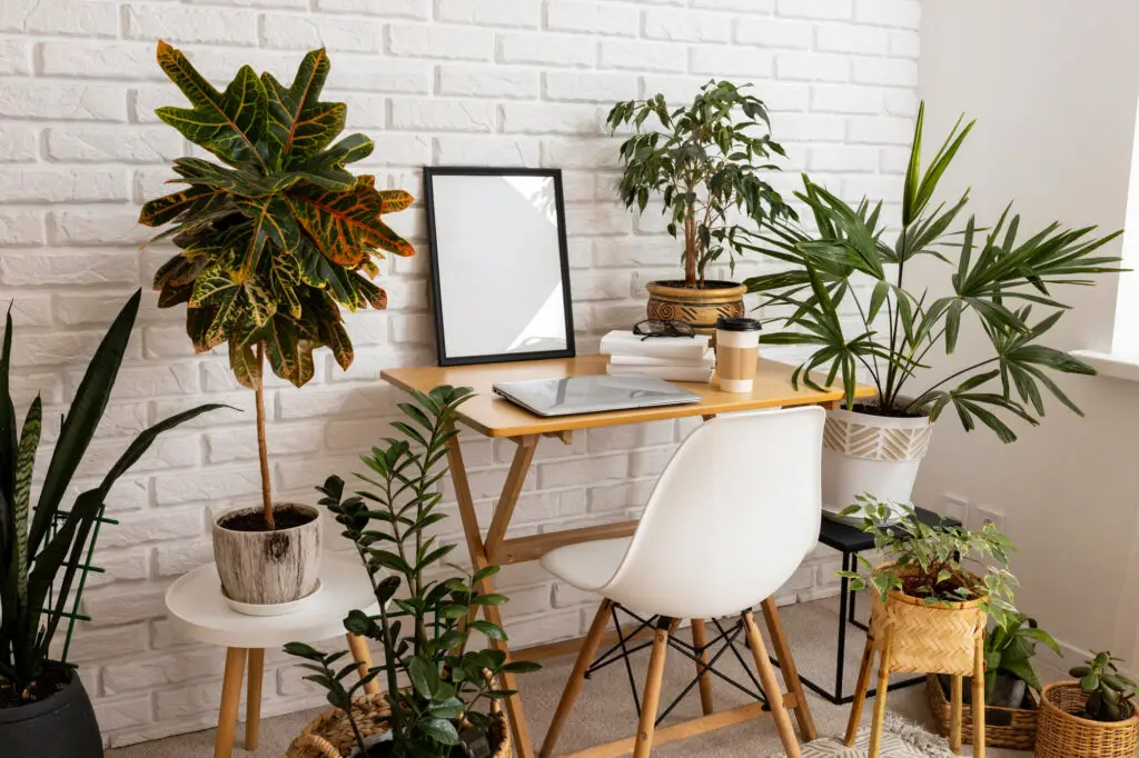 Boho whitewashed brick interior room with tropical houseplants